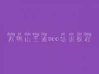 双鸭山王通seo培训教程_针对别人网站优化