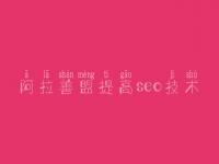 阿拉善盟提高seo技术_网站建设哪个最好