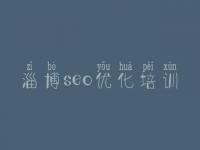 淄博seo优化培训 科技网站优化