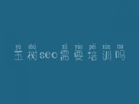 玉树seo需要培训吗 网站建设哪便宜