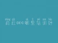 商丘seo哪里培训好_seo教程网