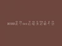 2022南宁seo白帽课程哪个好