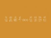临高哪个seo培训好些，网站建设在哪