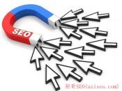 seo技术专家教程_seo技术培训教程_王通SEO