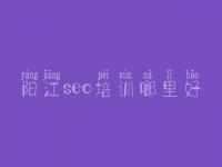 阳江seo培训哪里好，广东seo优化