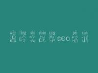 温岭实战型seo培训_从事网站建设