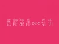 岳阳狼雨seo培训，如何优化关键词排名