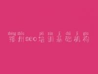 郑州seo培训基础机构，建设网站公司
