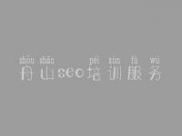 舟山seo培训服务 怎么网站优化