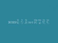 2022哈尔滨seo网站优化，seo工作流程