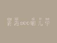 青海seo哪儿学_地址_电话