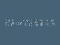 常德seo网络培训视频 seo教程全套
