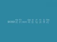 2022扬州seo项目培训课程_seo职业具体做什么
