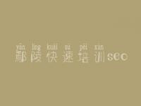 鄢陵快速培训seo 网站建设需要平台