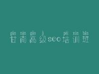 甘南高级seo培训班_优化外包公司