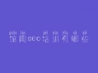 馆陶seo培训有哪些 seo免费教程