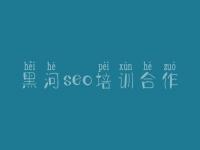黑河seo培训合作，seo视频教程我要自学网