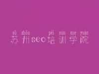 苏州seo培训学院，网站搜索优化公司