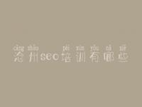 沧州seo培训有哪些 网站建设时间
