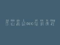 乐山高级seo培训课程 seo学习视频教程