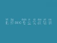 北京seo专业实战培训_奉贤网站建设