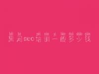 黑河seo培训一般多少钱 排名seo优化服务