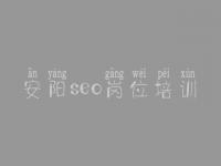 安阳seo岗位培训_网站建设建设哪家便宜