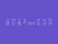 随州那个seo培训好 seo实训教程