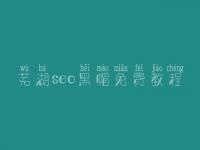 芜湖seo黑帽免费教程_高阶黑帽实战