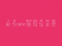 阿坝seo赚钱培训班 菜鸟教程seo