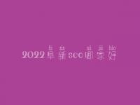 2022阜新seo哪家好_学费需多少