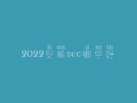 2022安顺seo哪学好_一般费用是好多