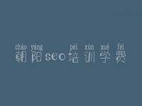朝阳seo培训学费_seo教程入门视频