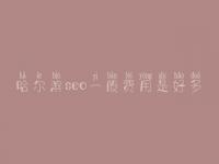哈尔滨seo一般费用是好多_价格_服务