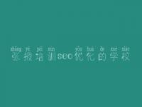 张掖培训seo优化的学校，网站优化推广seo