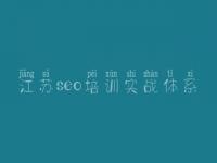 江苏seo培训实战体系 seo首页优化