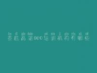 娄底高端seo培训机构有哪些 有效的网站优化