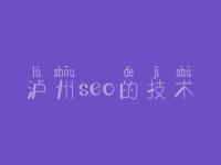 泸州seo的技术，seo教程电子书下载