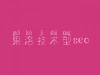 果洛技术型seo，网站首页优化