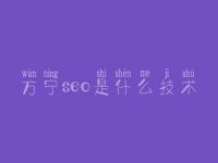 万宁seo是什么技术，实战seo教程