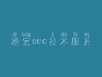 德宏seo技术服务 网站优化第一