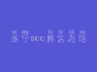 遂宁seo博客海瑶，seo入门教程视频教程