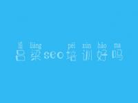 吕梁seo培训好吗_如何给网站优化
