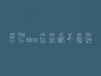 乐东seo培训哪个最好_公司一定建设网站吗