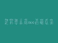 定州零基础seo白帽培训，网络怎么优化