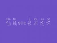 仙桃seo技术论坛，网站设计优化