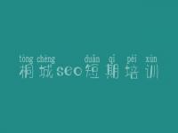 桐城seo短期培训_傻瓜式网站建设