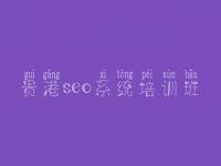 贵港seo系统培训班，网站相应优化