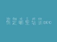 保定哪里培训seo 网站平台优化方案