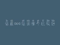 临夏seo培训那个比较好，网站制作优化